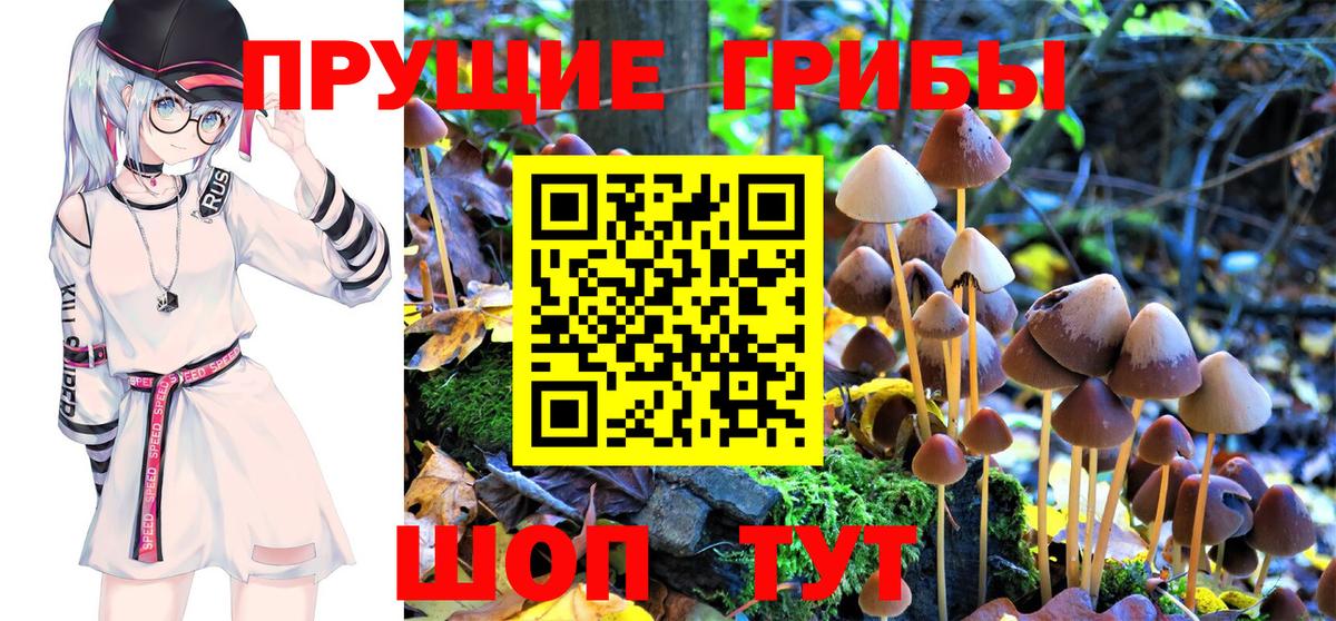 Самара  Псилоцибиновые грибы GOLDEN TEACHER  Вход с VPN 